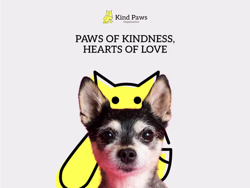 Cover image for PAWS OF KINDNESS, HEARTS OF LOVE 🐾 💛 🐾 💛 At Kind Paws Or...
