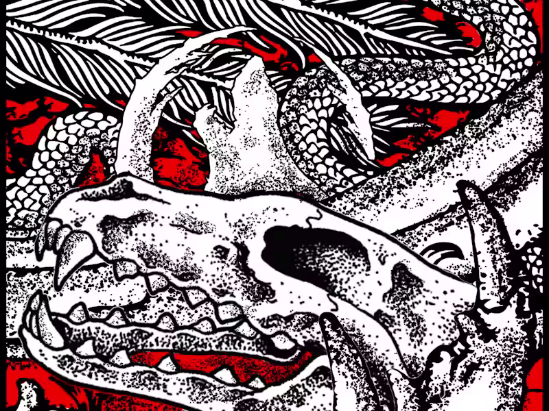 Cover image for Illustration - Cantakeraous Carcass