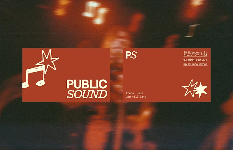 Cover image for Public Sound
