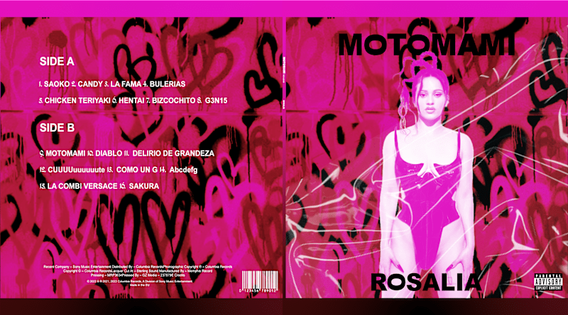 Cover image for Vinyl Design