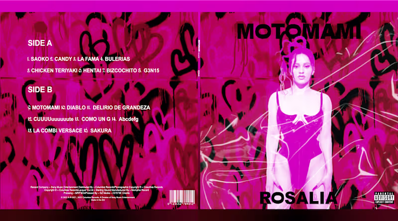 Cover image for Vinyl Design