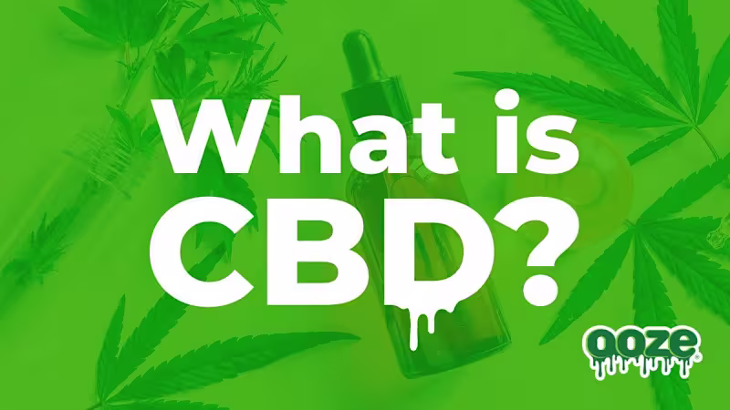 Cover image for Cannabidiol | What is CBD? Uses, Benefits & More | Ooze Life Bl…