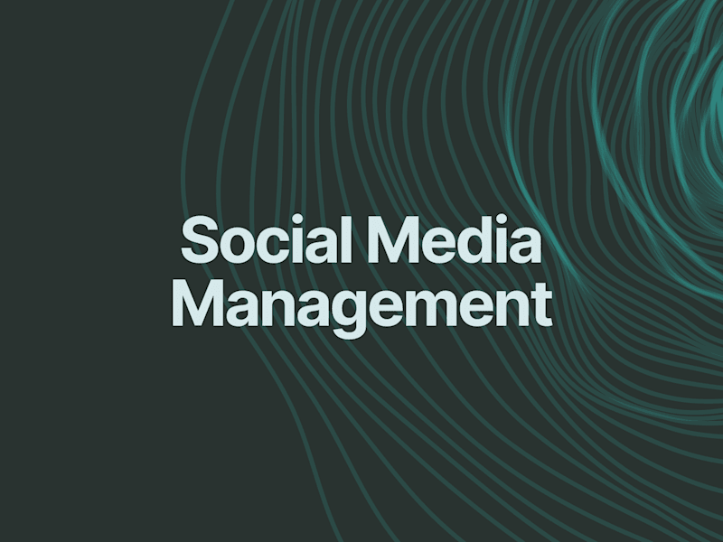 Cover image for Social Media Management