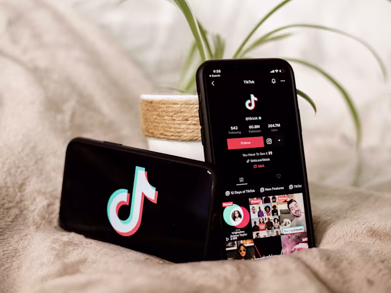 Cover image for How to master the TikTok algorithm and create videos that gain …