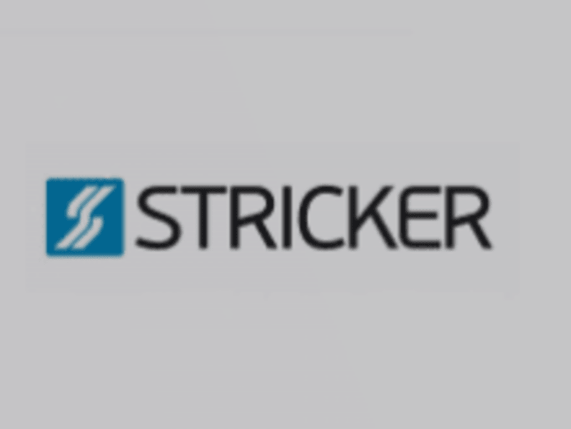 Cover image for Stricker Force
