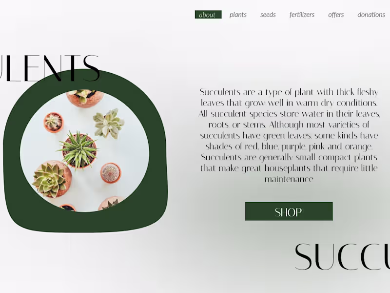 Cover image for Designing visually appealing websites 