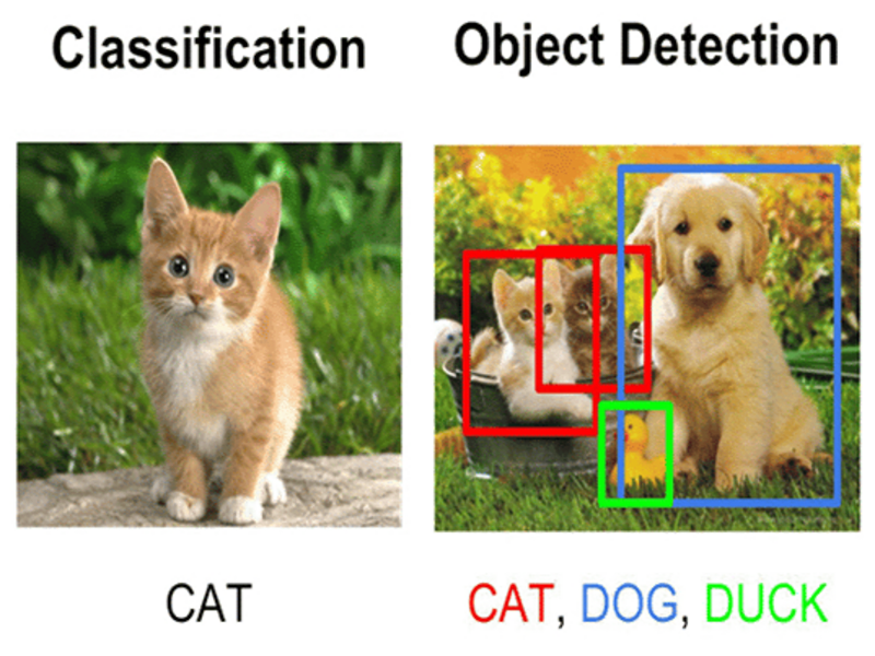 Cover image for Image Classification and Recognition