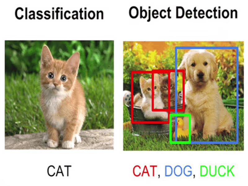 Cover image for Image Classification and Recognition