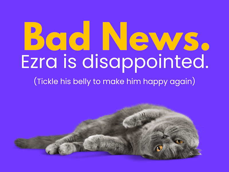Cover image for Ezra's Top Pick for Blogging and Content Writing? That's Me. 