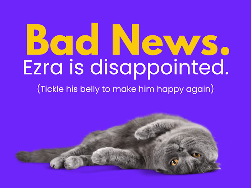 Cover image for Ezra's Top Pick for Blogging and Content Writing? That's Me. 