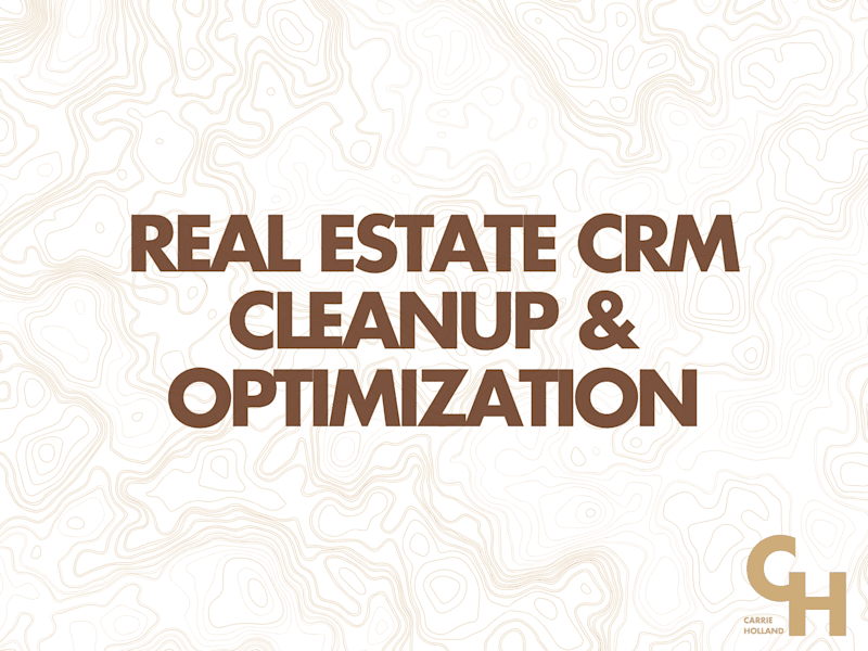 Cover image for CRM Cleanup & Optimization for a Real Estate Company