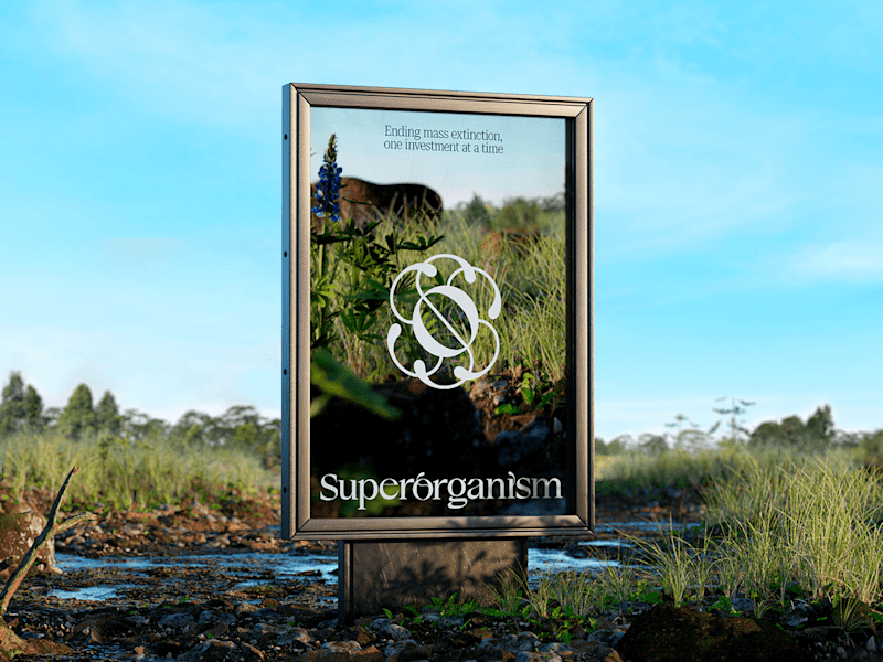 Cover image for Superorganism