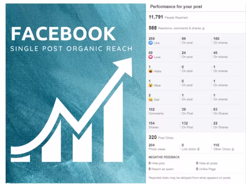 Cover image for Marketing Strategy & Marketing Assets