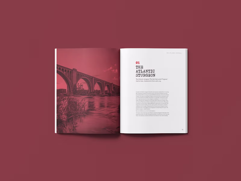 Cover image for Book Spread & Cover Design 