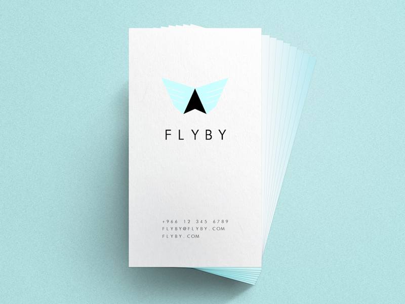 Cover image for FLYBY