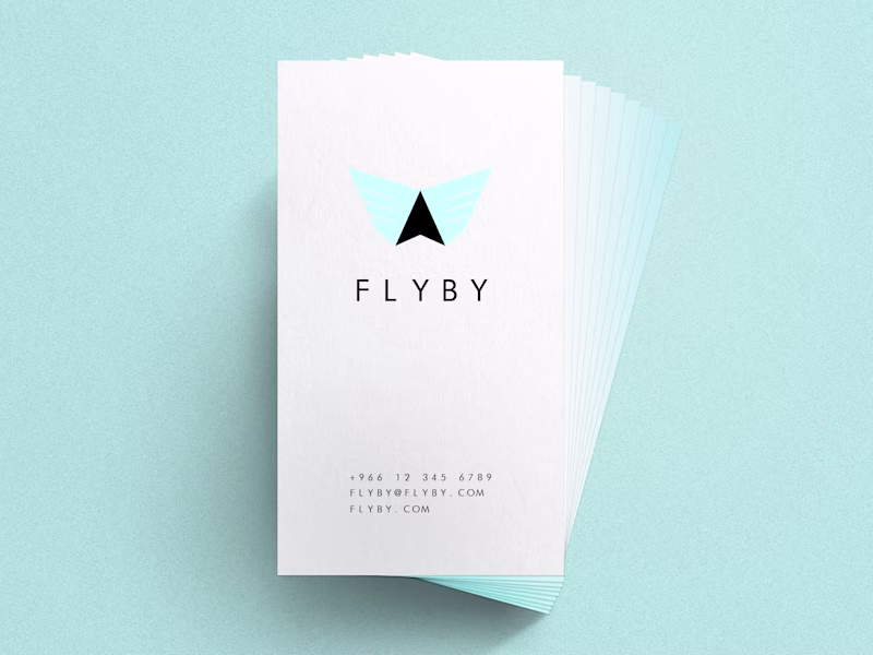 Cover image for FLYBY