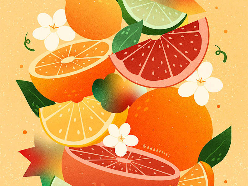 Cover image for Fruit Illustration