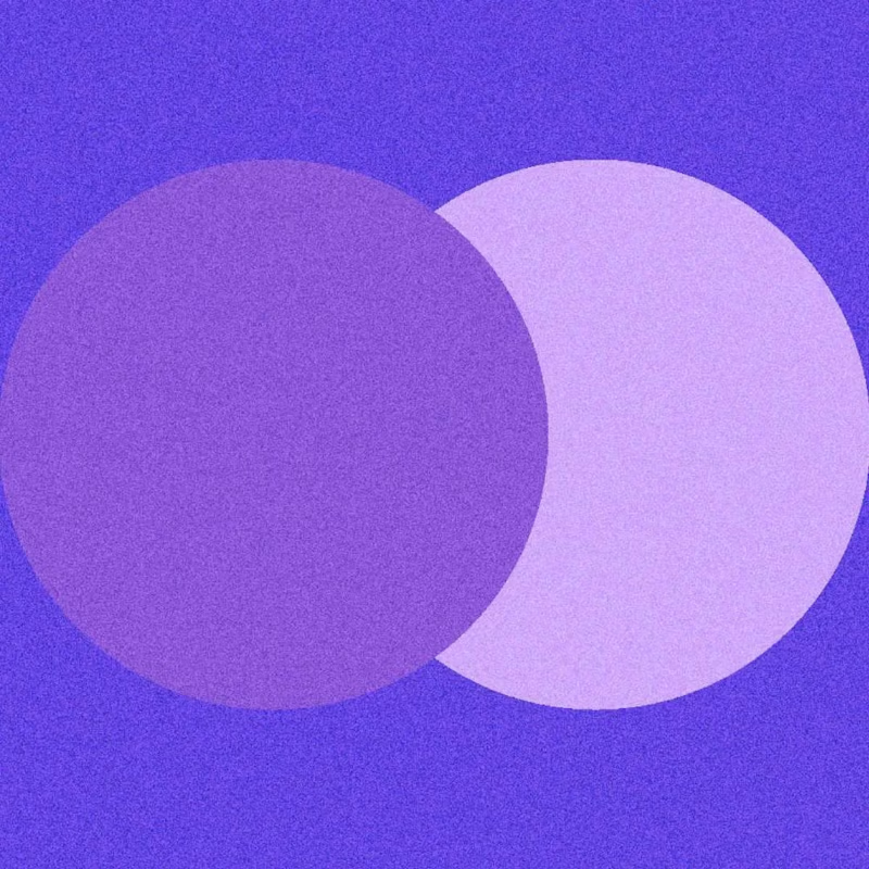 Cover image for A Kind of Harmony — Podcast, Website & Immersive Audio A Kin...