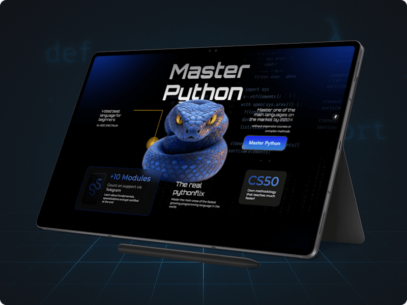 Cover image for The First Python Landing page