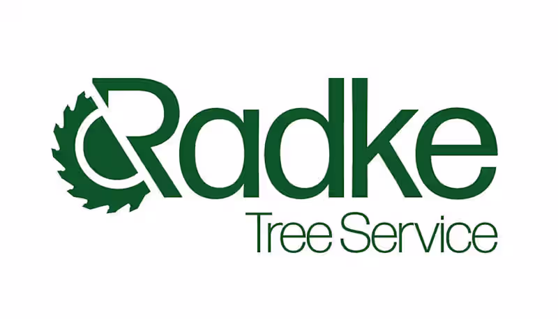 Cover image for Logo Design