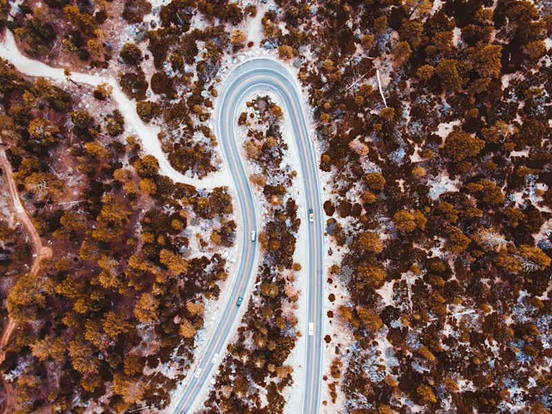 Cover image for Helping a logistics titan rebrand for digital.