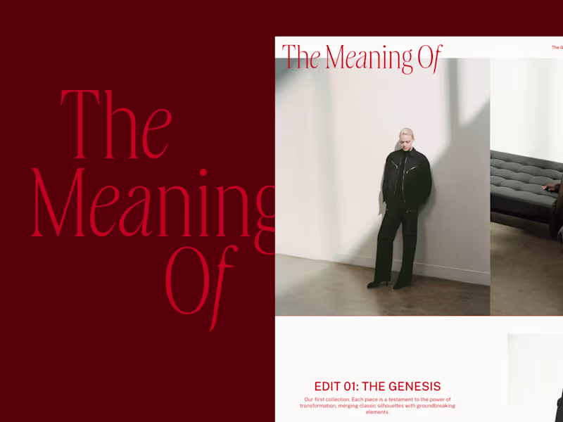 Cover image for The Meaning Of Website Design and Development
