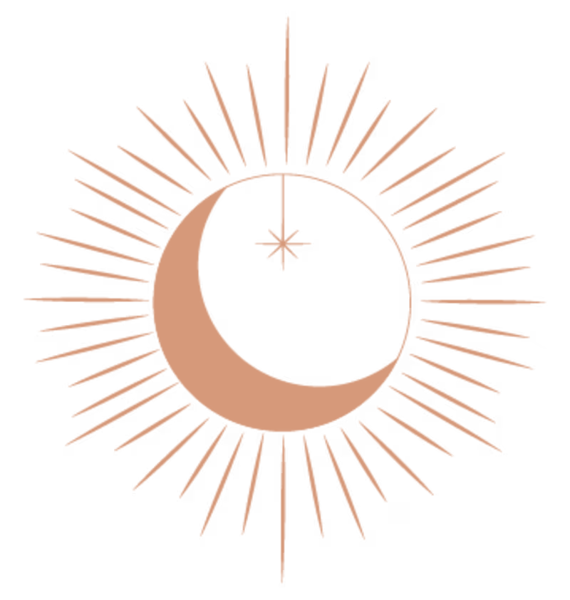 Cover image for Brand Identity and Web Design 