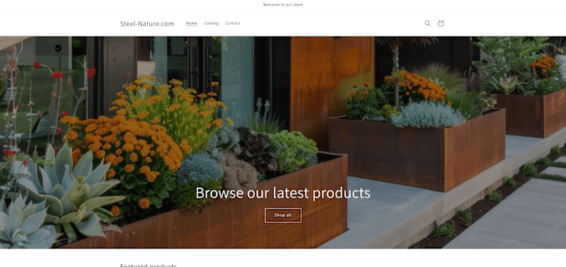 Cover image for Shopify Store