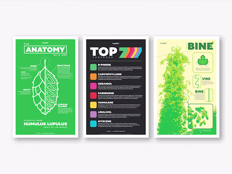 Cover image for hopp[ED]™ Educational Posters for HOOH Hops