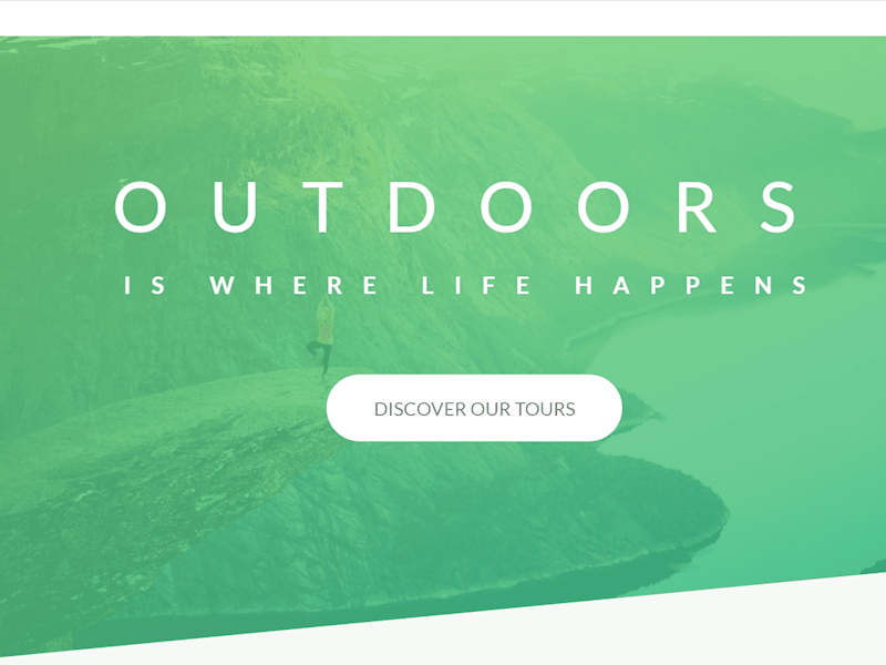 Cover image for Natours Website