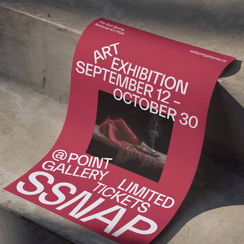 Cover image for The Salt Spring National Art Prize | Brand & Website