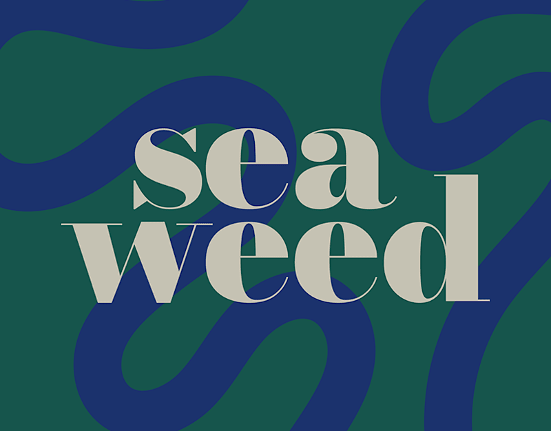 Cover image for Seaweed