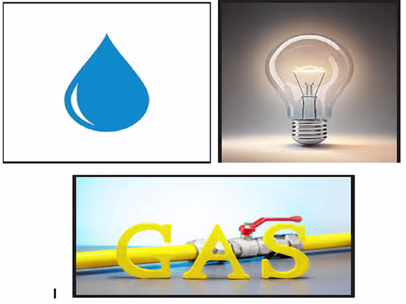 Cover image for Data Entry for Bulk feeding in softwares as well as for analysis