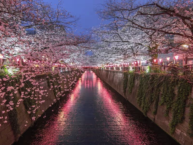 Cover image for Cultural References in Anime:A Window
into Japan's Rich Heritage