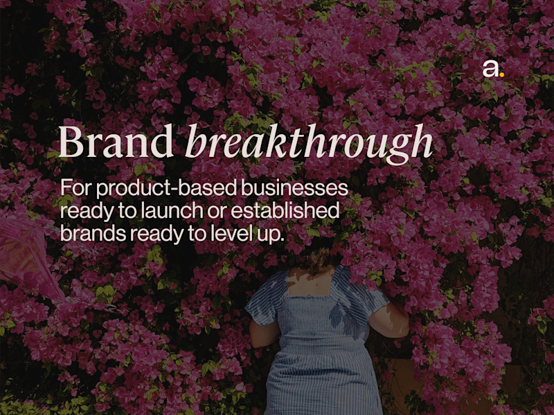 Cover image for Brand breakthrough