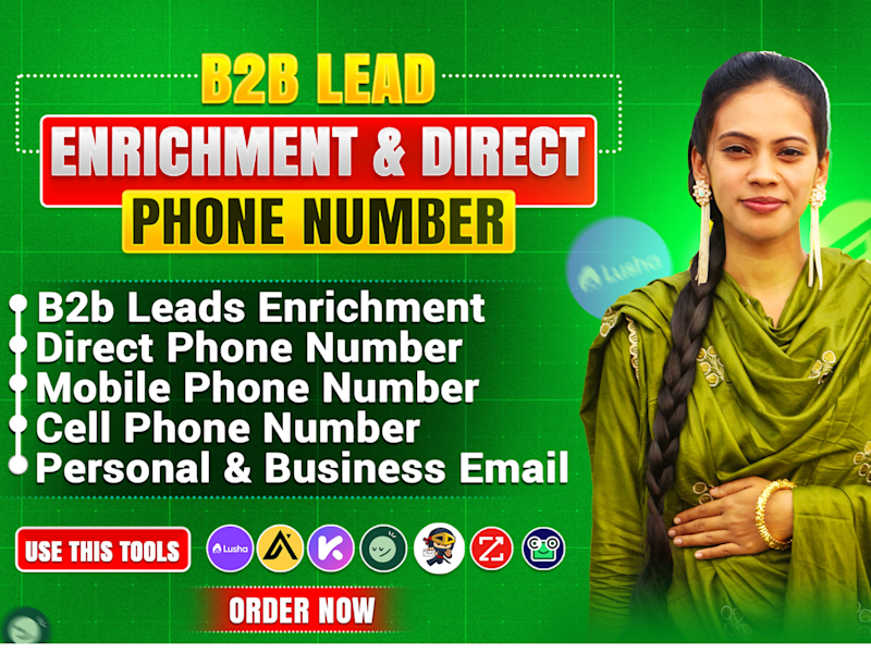 Cover image for B2B Lead Enrichment and Verification Project
