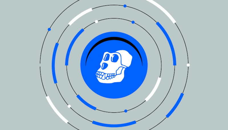 Cover image for What is ApeCoin?