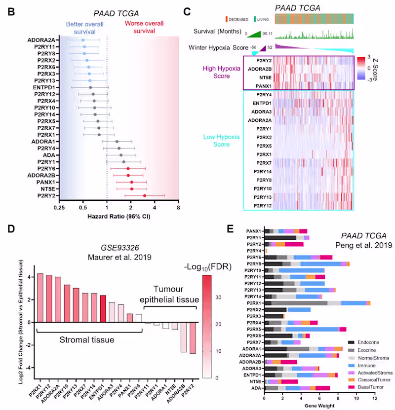 Cover image for Data Mining of Public Datasets for Cancer Research