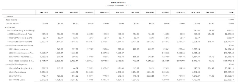 Cover image for Profit & Loss Statement