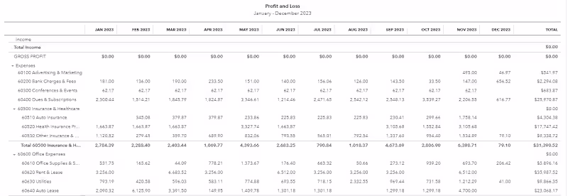 Cover image for Profit & Loss Statement