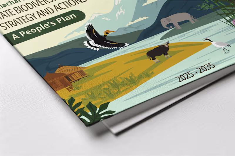 Cover image for I had the opportunity to