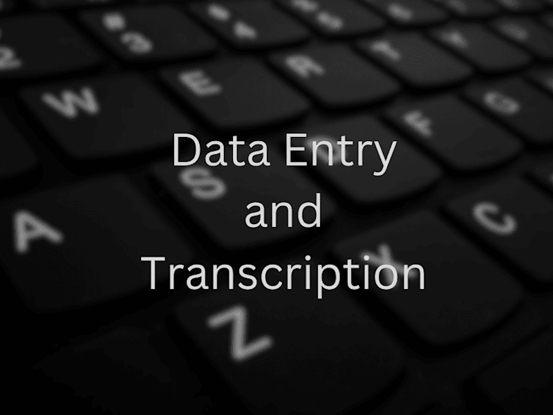 Cover image for Data Entry and Transcription