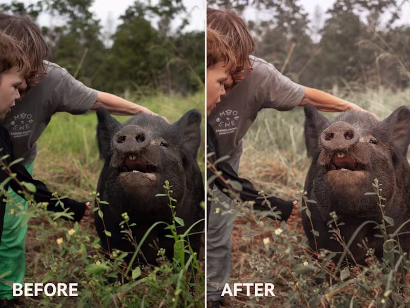 Cover image for Basic Photo Retouching (20 pack)