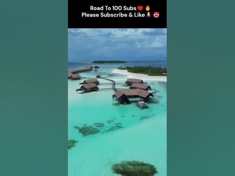 Cover image for  - YouTube