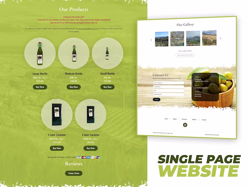 Cover image for Panetta Olive Website Development