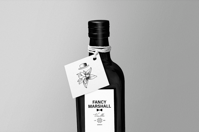 Cover image for Fancy Marshall