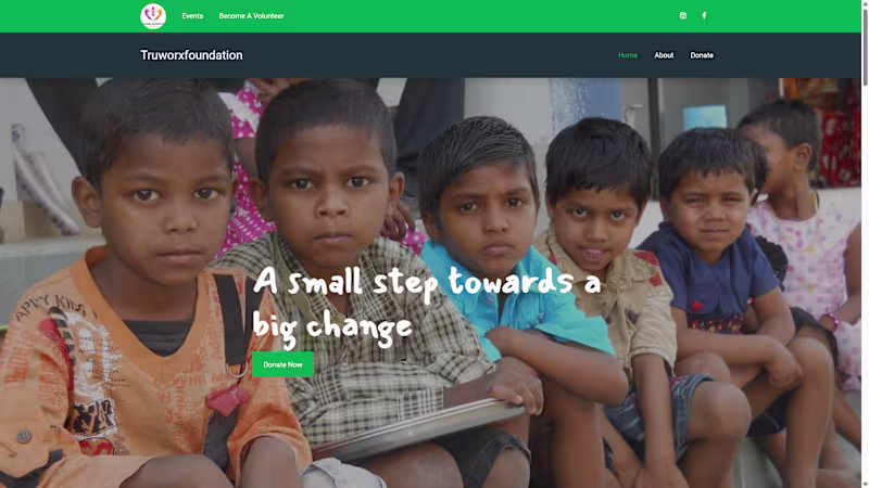 Cover image for Truworxfoundation Website Development and Hosting