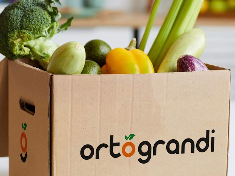 Cover image for Ortograndi