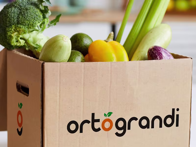 Cover image for Ortograndi