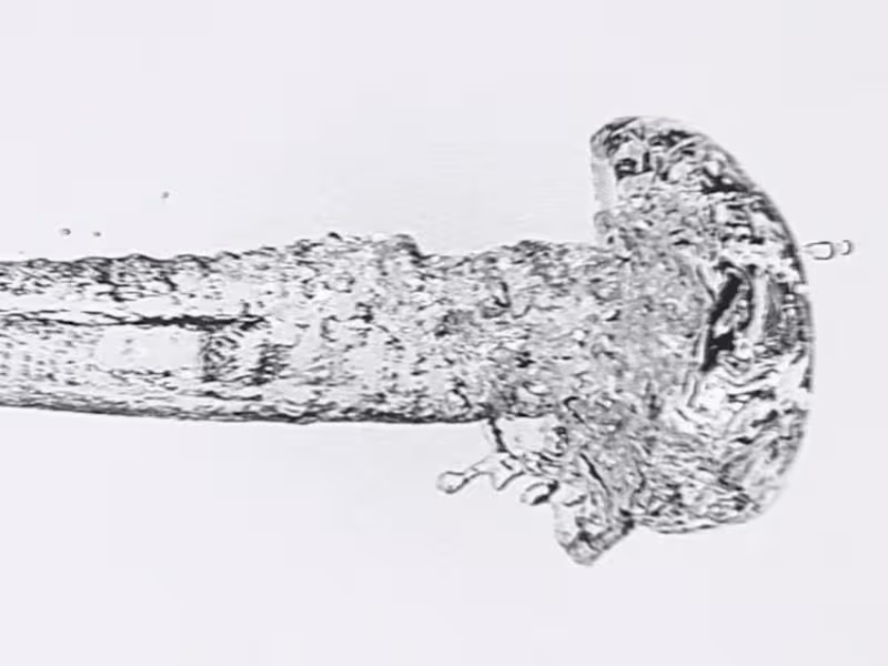 Cover image for Stylized Video Production